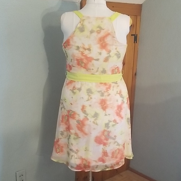 Bright Floral Chiffon Dress - Picture 2 of 6